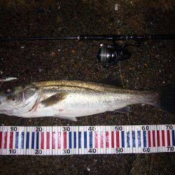 サラシの中でHit!